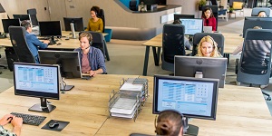 employees working on computers